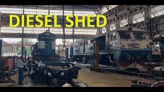 Tughlakabad Diesel Shed Short TripWalkthrough [upl. by Ssitruc]