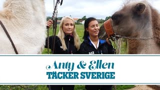 Ep14  Kamelridning och fiske  ANTY OCH ELLEN TÄCKER SVERIGE  TELE2TÄCKERSVERIGE [upl. by Gebler]