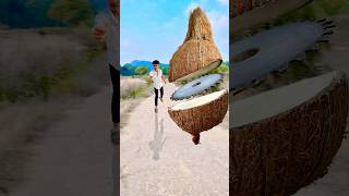 Mind blowing 🤯 Coconut 🥥 cutting photography ideas shorts editing photography coconut sort [upl. by Alegre717]