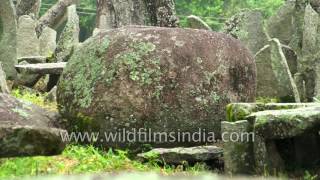 The Nartiang Monoliths site in Jaintia Hills Meghalaya near Jowai [upl. by Carmel]