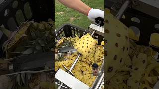 How to peel a pineapple in a sec food peeling amazing viralvideo [upl. by Lazaruk885]