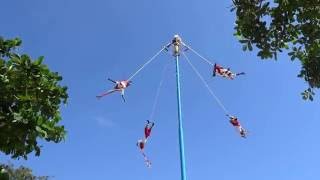 Dance of the Flyers  Danza de los Voladores  Tulum Mexico [upl. by Ahsinaw]