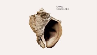 IGNOTO  Caracolero  2015  Álbum completo [upl. by Tur282]