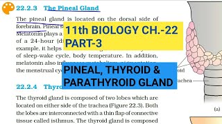 Class 11 BiologyCh22 Part3Pinealthyroid amp parathyroid glandStudy with Farru [upl. by Enelkcaj]