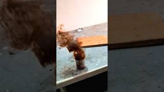 potassiumpermanganate scienceexperiment chemistry sciencestudyzaidvaid [upl. by Tadeo]