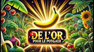 🍌 4 Utilisations des Peaux de Bananes pour BOOSTER Votre Potager🍌 [upl. by Falcone]