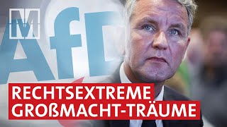 AfD und Europa rechtsextreme Großmachtträume  MONITOR [upl. by Acirdna]