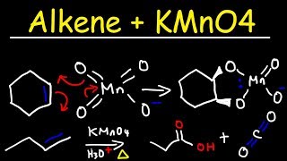 Alkene  KMnO4 Reaction [upl. by Monney]