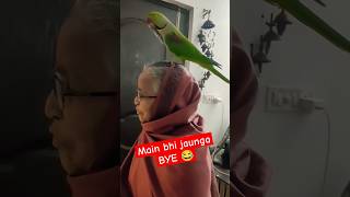 Parrot Pablo दादी के साथ जायेगा Bye 😂🤣 shorts parrot dog funny cute [upl. by Hilde]