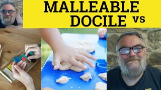 🔵 Malleable vs Docile Meaning  Docility or Malleability Examples  Malleable and Docile Difference [upl. by Eelanna]