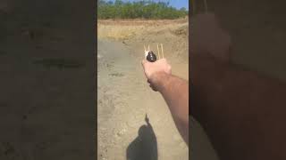 22 short cb vs 22lr sound test [upl. by Caton]