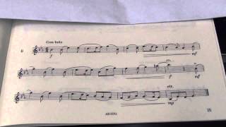 Violin Grade 5 Sight Reading No 6 Con brio [upl. by Hedy240]