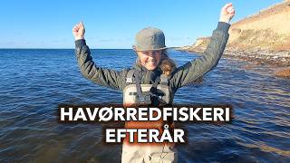 Havørredfiskeri efteraar Kan vi fange en havørred med lidt størelse på [upl. by Alverson]