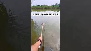 Cara tangkap ikan yang baik fishing fish fishingvideo mancing [upl. by Mehs]