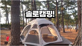 겨울캠핑벙커돔 솔캠 하루 캠핑camping [upl. by Grosmark954]