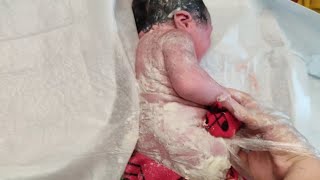 Newborn baby just after birth only few seconds old covered in Vernix Caseosa babiesvideos video [upl. by Leumek]