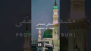 Mustafa Mustafa  Mishary bin Rashid Alafasy  مصطفى  مشاري راشد العفاسي with lyrics amp translation [upl. by Aynotahs]