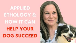 Applied Ethology amp How It Can Help Your Dog Succeed An Interview with Kim Brophey [upl. by Oiram579]