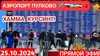 БУГУН❌️25102024 АЭРОПОРТ ПУЛКОВО 🇷🇺🇺🇿🇹🇯🇰🇬🎟САНКТПЕТЕРБУРГ УЗБЕКИСТАН ✈️АРЗОН ИШОНЧЛИ АВИАБИЛЕТЛАР [upl. by Madda]