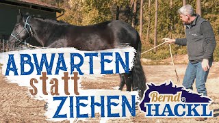 Abwarten statt ziehen  Bernd Hackl erklärt 🐴 [upl. by Bat]