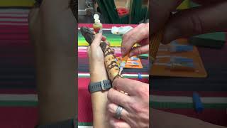 Gila Monster Care Microchipping [upl. by Brinson289]