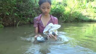 Poor girl  Harvesting clams snail go to the village to sell  Green forest life [upl. by Airamalegna32]