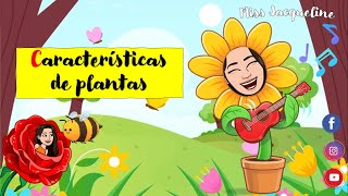 Características de las plantas Semejanzas y diferencias  Conocimiento del medio [upl. by Mirella782]