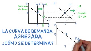 Curva de demanda agregada ¿cómo se determina  Cap 30  Macroeconomía [upl. by Melvin123]