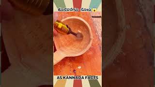 Bamboos Spoon Making Fact Video  kannada facts karnataka amazing youtubeshorts trendingshorts [upl. by Suoivatram782]