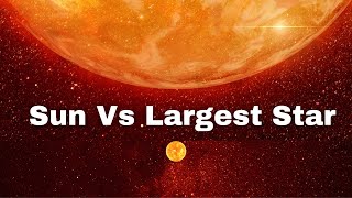 How Big is The Largest Star [upl. by Shurlocke]