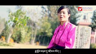 New Tibetan Song 2017 quotDAEPE CHOETRINquot By Tsering Dolama Limi དད་པའི་མཆོད་སྤྲིན། [upl. by Nyrac]