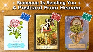 💌🪽 A Postcard for You from Someone in Heaven 💌🪽 Timeless Pick a Card Reading 💌🪽 [upl. by Aneala]