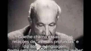 Heidegger Fala  Legendado [upl. by Carpet]