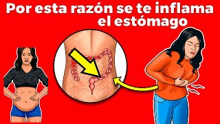 ¿Por qué tengo el estomago inflamado 15 causas tratamiento y cuando ir al doctor [upl. by Kaleena169]