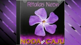 NODA DE CAJU  Pétalas Neon com letra [upl. by Toole531]