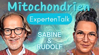 Mitochondrien Experten Talk mit Dr Bolzius [upl. by Hammad914]