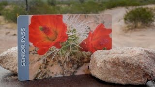 Seniors Buy A Lifetime Federal Lands Pass Now  Los Angeles Times [upl. by Irroc936]