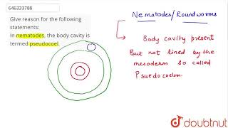 Give reason for the following statementsIn nematodes the body cavity is termed pseudocoel  C [upl. by Blanchette996]