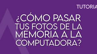 ¿Cómo pasar tus fotos de la memoria SD a la computadora [upl. by Haynor]