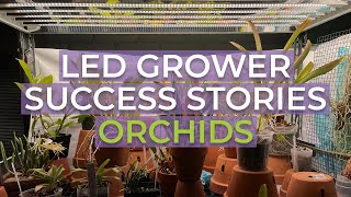 Active Grow T5 LED Grow Lights Vs T5 Fluorescent Tubes for Orchids [upl. by Kopans]