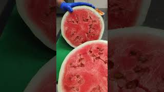 Melon🍉❤🍉❤ cuttingskils youtube friutscutting [upl. by Shelly]