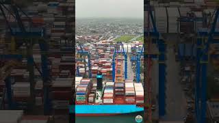 A visit to Brazil🇧🇷 oceanfreight brazil sanlorenzomaersk shorts trending globaltrade maersk [upl. by Bertle]