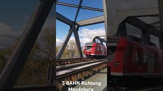 S Bahn Wittenberge Richtung Magdeburg auf der ELBBRÜCKE [upl. by Nwahsir]