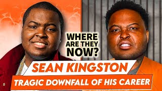 Sean Kingston  Where Are They Now  Tragic Downfall Of His Career [upl. by Yovonnda249]