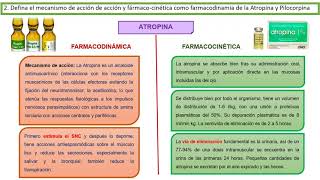 ANTAGONISMO COMPETITIVO  LABORATORIO 4 [upl. by Gnirol]