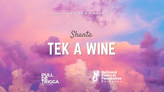 Shanta Prince  Tek A Wine  The Pink Pen Project  Crop Over 2024 [upl. by Vergos58]