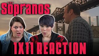 The Sopranos 1X11 NOBODY KNOWS ANYTHING reaction [upl. by Laira978]