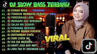 DJ SLOW FULL BASS TERBARU 2024 🌾DJ CIINAN BANA • DJ TUNGKEK MAMBAOK RABAH • VIRAL [upl. by Oad44]