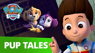 Skye and Zuma Become MerPups  PAW Patrol Rescue Episode  Cartoons for Kids [upl. by Varney36]