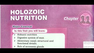 holozoic nutrition part 1 [upl. by Hajar]